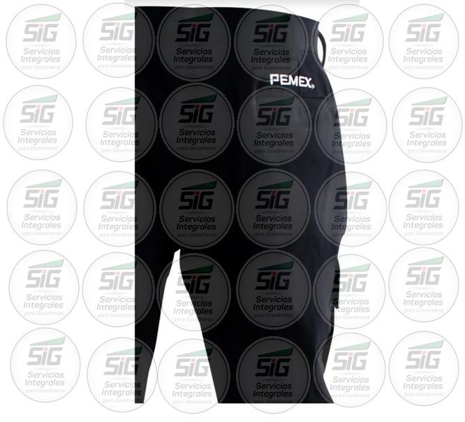 Pasarela 2 - Imagen 1